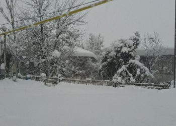 „2 დღის მშიერი ვარ, მძვრება სული” – სოფელ ბასილეთის მცხოვრები დახმარებას ითხოვს