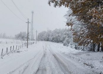„სახლში ყველაფერს მოწყვეტილი მოზარდი გოგონა და ორი ქალია, კავშირზე ვეღარ გავდივართ…“ – მოქალაქე იმერეთიდან