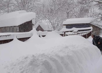 ერთი კვირაა, ხარაგაულში დაკარგულ მწყემსებს ეძებენ