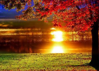 როგორი ამინდი იქნება უახლოეს დღეებში საქართველოში?