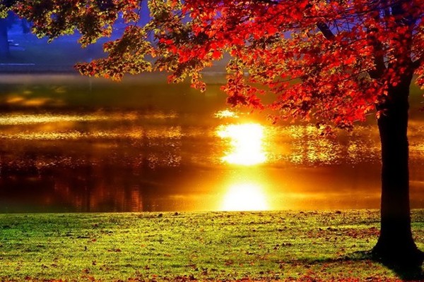 როგორი ამინდი იქნება უახლოეს დღეებში საქართველოში?