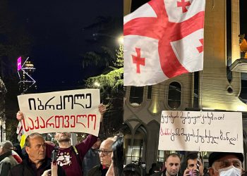 რუსთაველის გამზირზე მასშტაბური აქცია მიმდინარეობს – “მეტრონომის” ფოტოკოლაჟი
