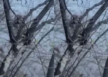 🎥მტკვარში ქვეითი ჩავარდა – რა ხდება ამ წუთებში ადგილზე