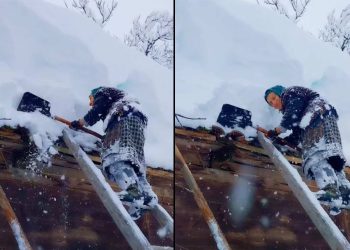 🎥”ეჰ, მაინც ვერ გაუძლო ბოლომდე ციცოს მცდელობის მიუხედავად…” – რას წერს მოქალაქე სოციალურ ქსელში?