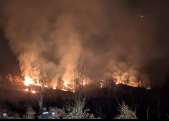 წალენჯიხის მუნიციპალიტეტის სოფელ ჩქვალერში ხანძარია