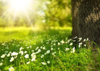 როგორი ამინდი იქნება საქართველოში? – უახლესი დღეების ამინდის პროგნოზი