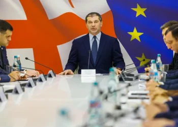 “განცხადებების მიღება დღეიდან დაიწყება” – ცნობილია, ვინ მიიღებს დაფინანსებას თბილისის მერიისგან