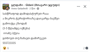 "გთხოვთ, თუ ნახავთ, დამირეკეთ"- გლდანში 5 წლამდე ასაკის ბავშვს ეძებენ