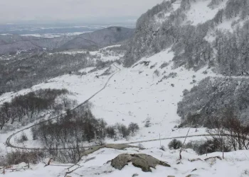 რა უნდა გაითვალისწინონ მეწყრულ ზონაში მცხოვრებმა მოქალაქეებმა?