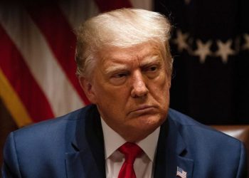 რა კომენტარს აკეთებს დონალდ ტრამპი წიაღისეულის შეთანხმებაზე?