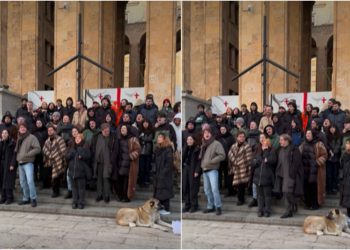 🎥„ბოლომდე! თავისუფლება ანდრო ჭიჭინაძეს!“ – მსახიობებმა პარლამენტის წინ გაათენეს