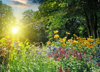 როდის გამოიდარებს და დათბება საქართველოში ? – სინოპტიკოსები ახალ პროგნოზს ავრცელებენ