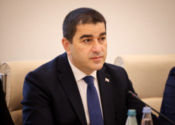 “სირცხვილია” – რა განცხადებას აკეთებს შალვა პაპუაშვილი?