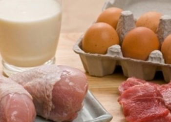 რძეში, ხორცსა და კვერცხში დამაბინძურებლების კვლევაზე სესმა ტენდერი გამოაცხადა