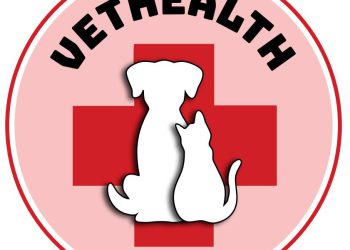 როგორია გუშინ ღამით, სამართალდამცავის მიერ დაჭრილი ძაღლის მდგომარეობა – ვიდეო