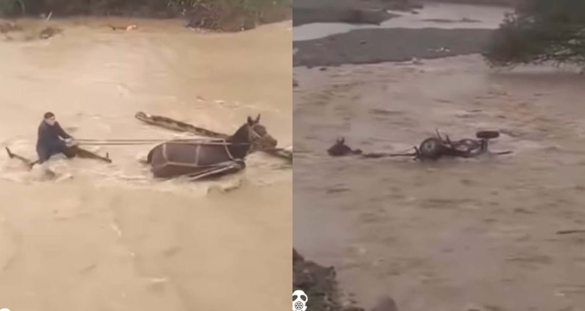 “საშინელება! ცხენი მდინარემ წაიღო”- მოქალაქე ბოლნისიდან ვიდეოს აქვეყნებს