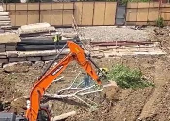 🎥”რა რთული ყოფილა ამის ყურება, გული დამეწვა”- რა კადრებს ავრცელებს მოქალაქე?