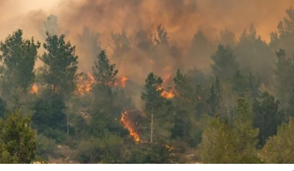 ისრაელში ტყის ხანძარს ებრძვიან – მიმდინარეობს მოსახლეობის ევაკუაცია