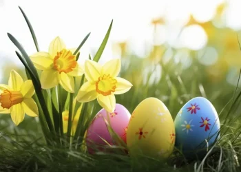 როგორი ამინდი იქნება კვირას საქართველოში ? – სინოპტიკოსების პროგნოზი