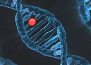 მეცნიერების მტკიცებით, აღმოჩენილია აუტიზმის გამომწვევი მიზეზი