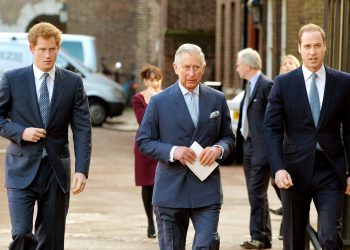 მეფე ჩარლზმა უილიამს უკანასკნელი სურვილი გაანდო… – ანდერძი კამილას ეხება