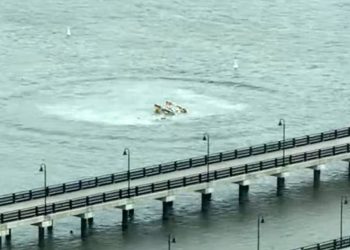 „დაღუპულია 6 ადამიანი, მათ შორის, 3 ბავშვი“ – რა მოხდა აშშ-ში?