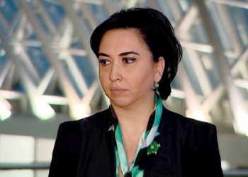 „გვაქვს ძალიან კარგი, საიმედო და მნიშვნელოვანი ინფორმაცია ჩვენი მძევლებისთვის” – ეკა ბესელია