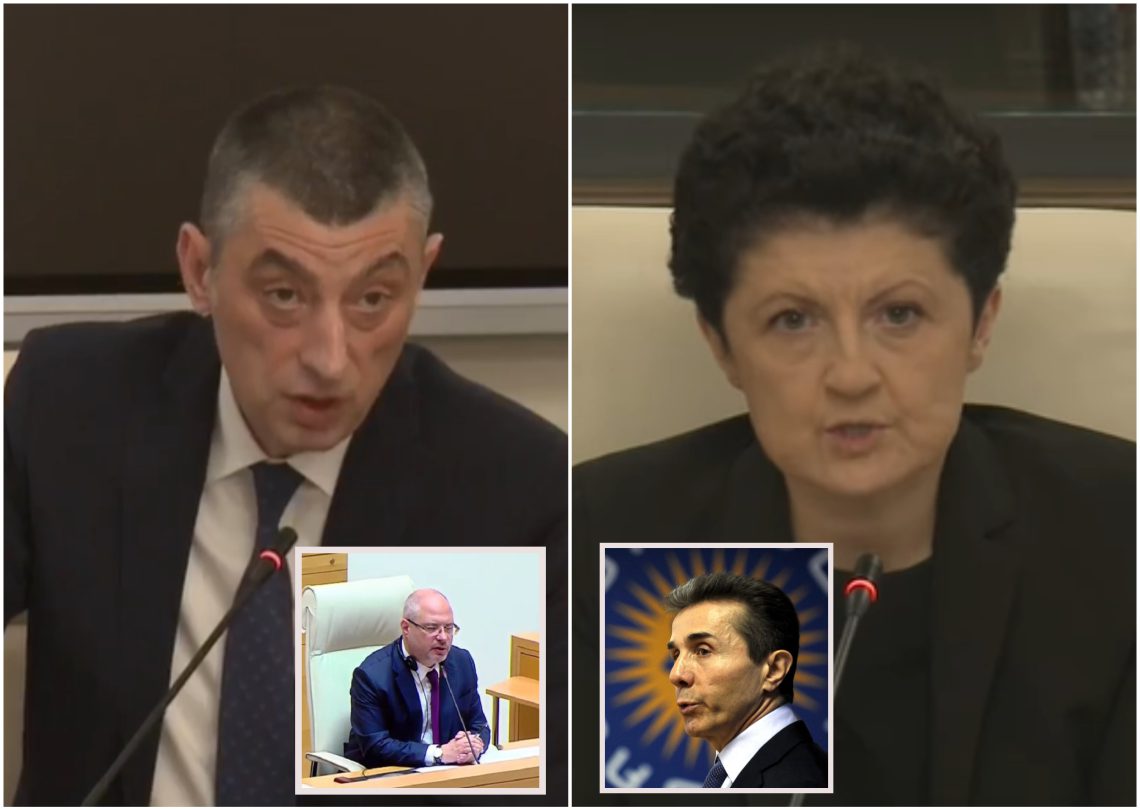 „ჩემთან ერთად, ამ კომისიამ უნდა გამოიკითხოს ივანიშვილი, გავრილოვის ჩამომყვანი, მისი მასპინძელი“ – გახარია თეა წულუკიანს