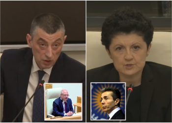 „ჩემთან ერთად, ამ კომისიამ უნდა გამოიკითხოს ივანიშვილი, გავრილოვის ჩამომყვანი, მისი მასპინძელი“ – გახარია თეა წულუკიანს