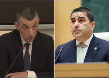 „ნახევრად ფეხმძიმობა არ არსებობს… მისი პარტია პარლამენტშია“ – რას ამბობს შალვა პაპუაშვილი გიორგი გახარიაზე?