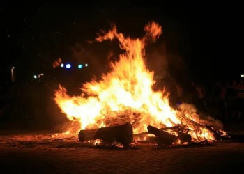 გაფრთხილება “ჭიაკოკონობის” წინ – გარემოსდაცვითი ზედამხედველობის დეპარტამენტი განცხადებას ავრცელებს