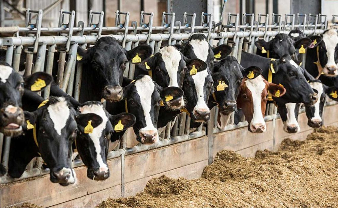 „ყვარლის ბაგა“ სპეციალურ განცხადებას ავრცელებს