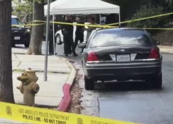 არსებული ინფორმაციით, ლოს-ანჯელესში, ქართველი ბიზნესმენის მკვლელობისთვის დაკავებული გდდ-ის ყოფილი სპეცრაზმელია