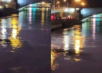 რა ინფორმაცია ვრცელდება ახალგაზრდა ქალზე, რომელიც წუხელ, მშვიდობის ხიდიდან გადავარდა?