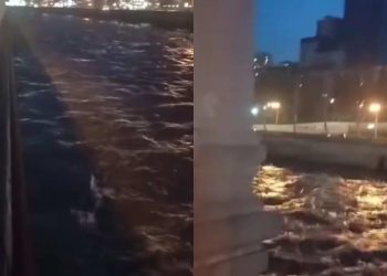 🎥ვრცელდება საგანგაშო კადრები მტკვრის მარცხენა სანაპიროდან