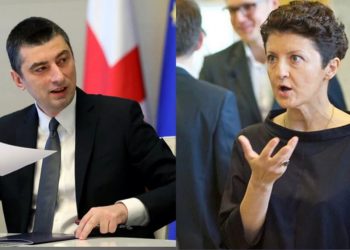 მივა თუ არა გახარია წულუკიანის კომისიაზე – ანა ბუჩუკურის პასუხი