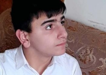 ადიგენის მუნიციპალიტეტში 15 წლის ბიჭს ეძებენ