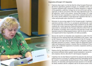 სამოქალაქო სექტორის და მედიის რეპრესიები, დემოკრატიული უკუსვლა და ევროინტეგრაციის გამოუყენებელი ისტორიული შანსი – ევროპარლამენტში საქართველოს შესახებ ანგარიში წარადგინეს