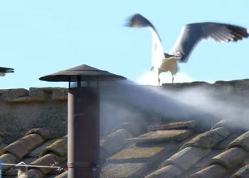 კარდინალთა კონკლავმა რომის ახალი პაპი აირჩია