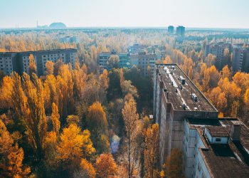 ჩერნობილში მიწის დამუშავება და მოსავლის მოყვანა უსაფრთხოა – კვლევა