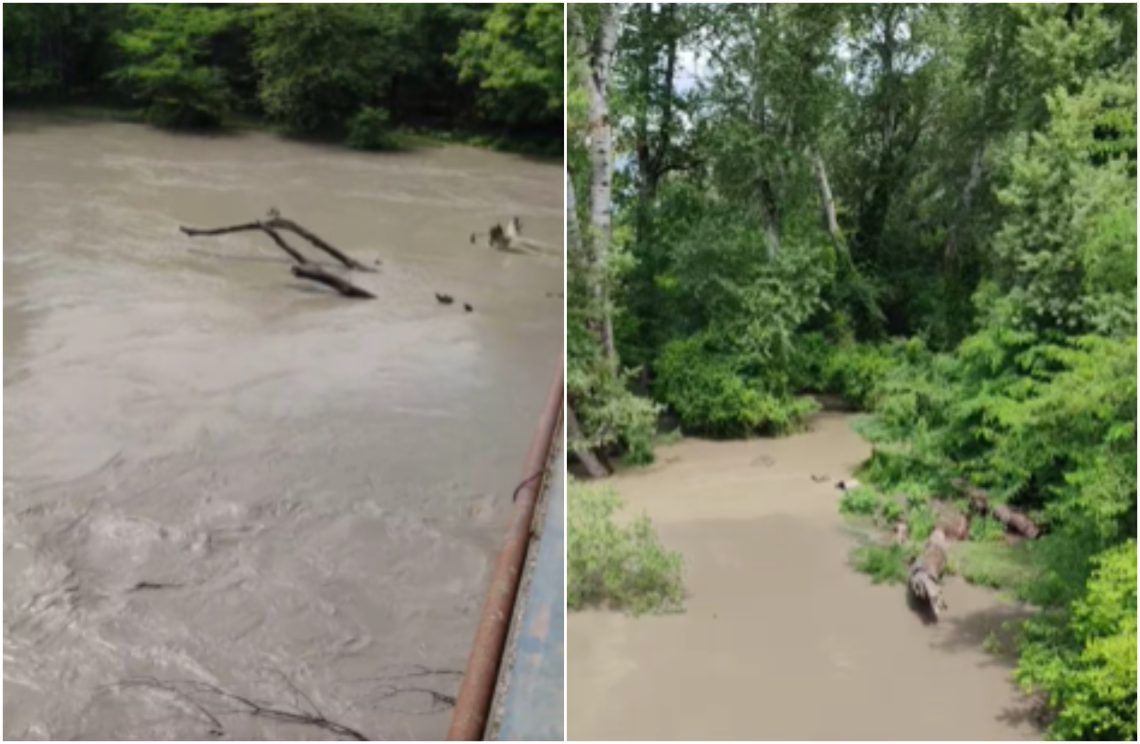 🎥 „ალაზანია ადიდებული“ –  რა ვითარებაა სტიქიის ადგილზე?