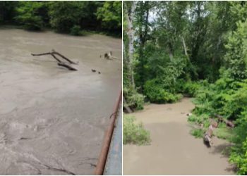 🎥 „ალაზანია ადიდებული“ –  რა ვითარებაა სტიქიის ადგილზე?