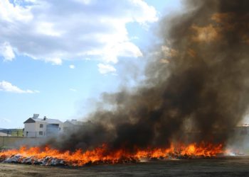 თურქეთში 25-ათასიანი ქალაქი მარიხუანის ზემოქმედების ქვეშ აღმოჩნდა