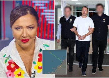 „ამ თვითმფრინავში ჩატენეს მოტაცებული ბაჩიაშვილი!!“ – რას წერს ინგა გრიგოლია?