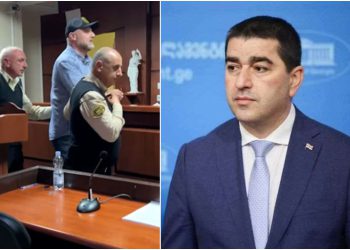 „თავისი ფეხით შევიდა სასჯელაღსრულების დაწესებულებაში“ – შალვა პაპუაშვილი ზურაბ ჯაფარიძეზე