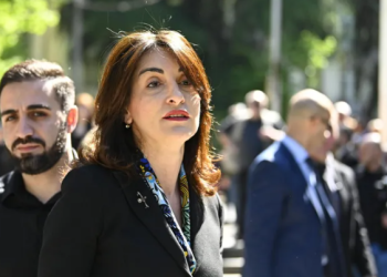 „ორმაგი სტანდარტია ყველგან; საქართველოში არ არის არავისზე ნაკლები დემოკრატია, [არ არის] არანაირი დემოკრატიული უკუსვლა“ – მაკა ბოჭორიშვილი