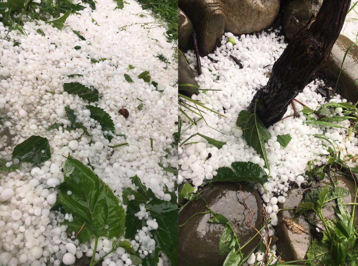 ძლიერმა სეტყვამ თელავის მუნიციპალიტეტში პრობლემები შექმნა