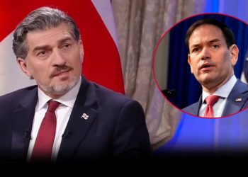 “კმაყოფილი ვარ ამ პასუხის”- ყაველაშვილი რუბიოს განცხადებაზე