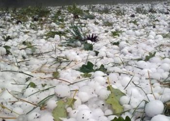 სეტყვამ ახმეტის მუნიციპალიტეტში პრობლემები შექმნა – რა ხდება ადგილზე?