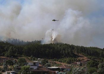 თურქეთში ტყის ხანძრებს ებრძვიან – ევაკუირებულია 50 000 ადამიანი